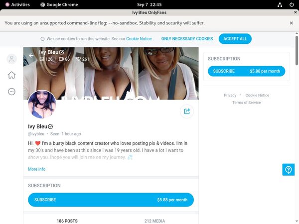 What Is Ivybleuvip What Is Ivybleuvip