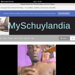 Working SchuylerDickerson Account