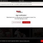 Site Rip Mack Studio