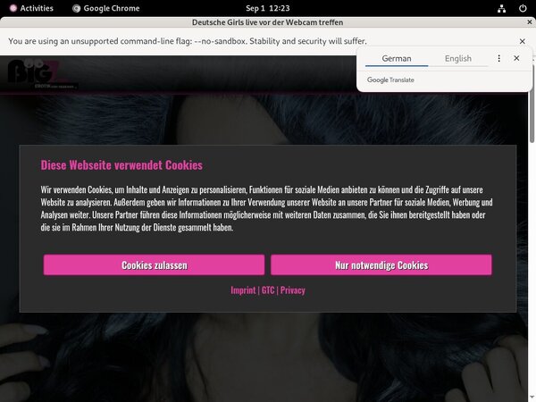 Free Lanagiselle.tv Id And Password