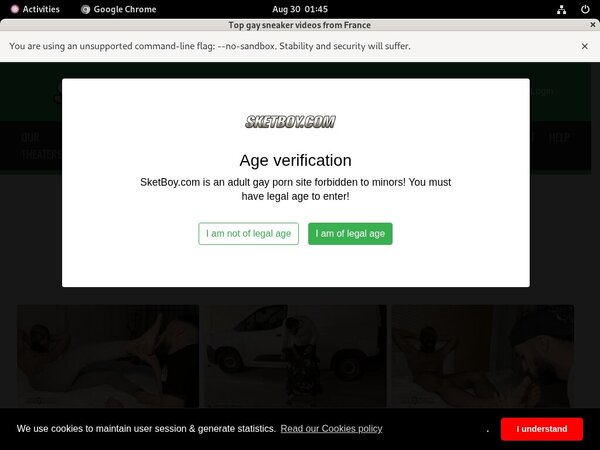 Sketboy.com With Directpay